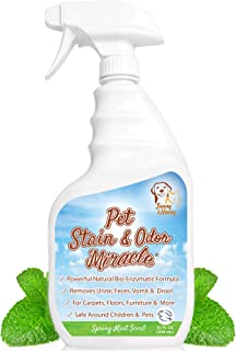 dog urine odor remover